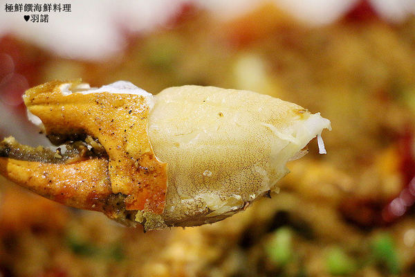 極鮮饌：【羽諾食記】極鮮饌海鮮料理♥大啖秋季蟹宴創意海鮮料理!