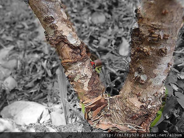 1408721655953_副本