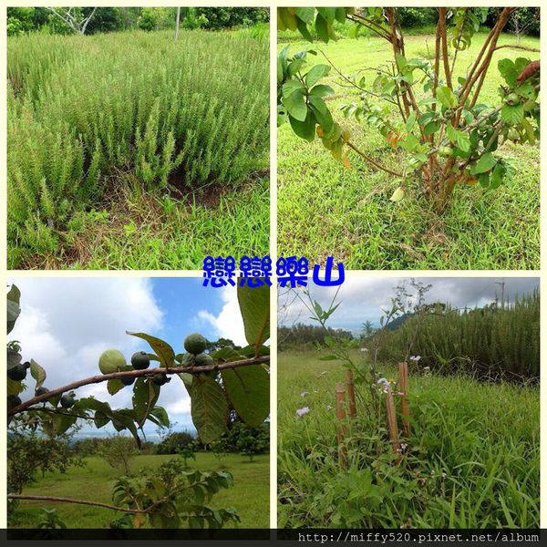 1408721619190_副本_副本