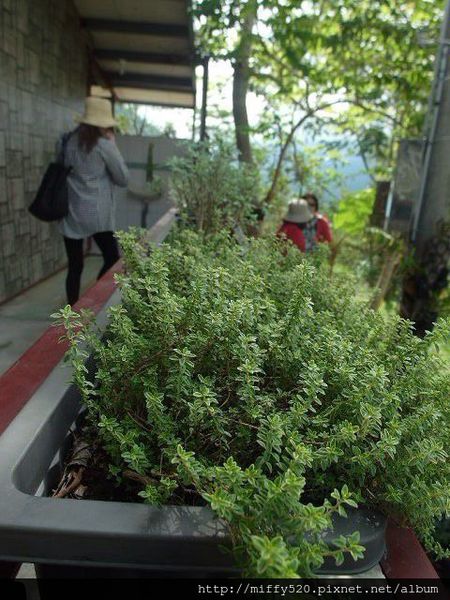 1408721723427_副本