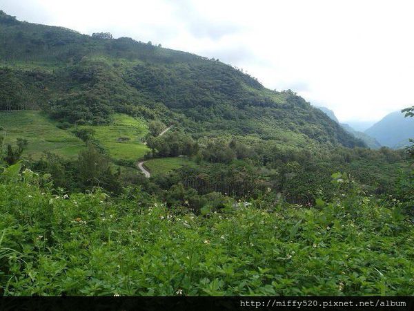 1408721720790_副本