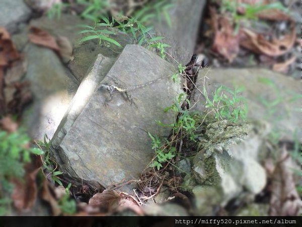 1408721669265_副本