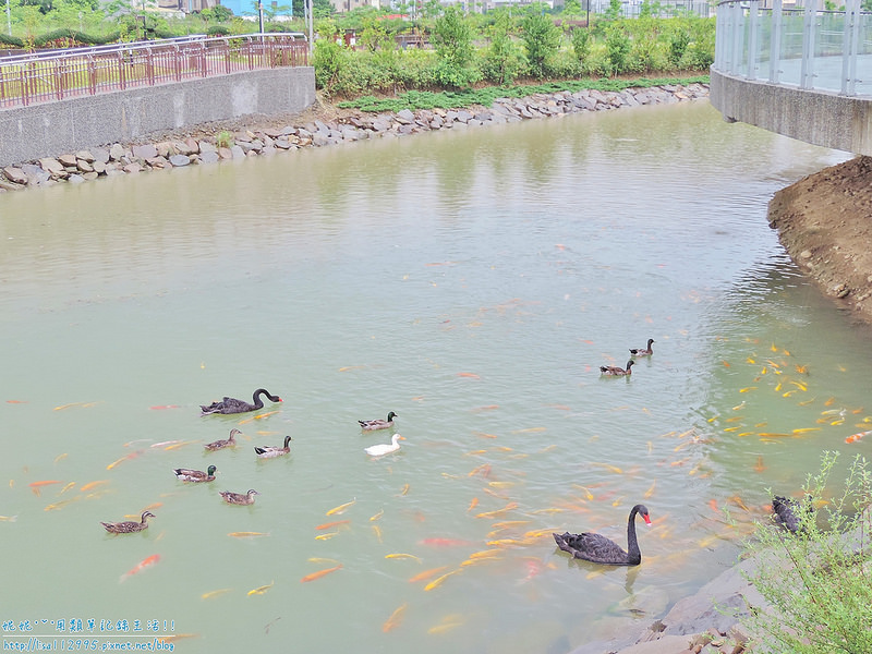 DSCN1872 (2000x1500)