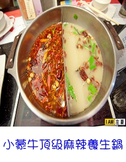 小蒙牛頂級麻辣養生鍋