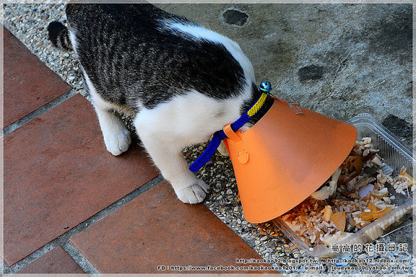 修德拜亭廣場 一銀巷：【臺南】鹽水區。修德拜亭廣場．一銀巷．連成巷．王爺巷．月津港親水公園