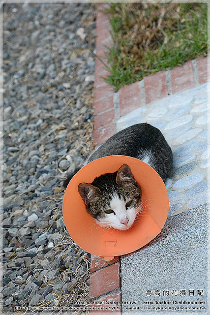 修德拜亭廣場 一銀巷：【臺南】鹽水區。修德拜亭廣場．一銀巷．連成巷．王爺巷．月津港親水公園