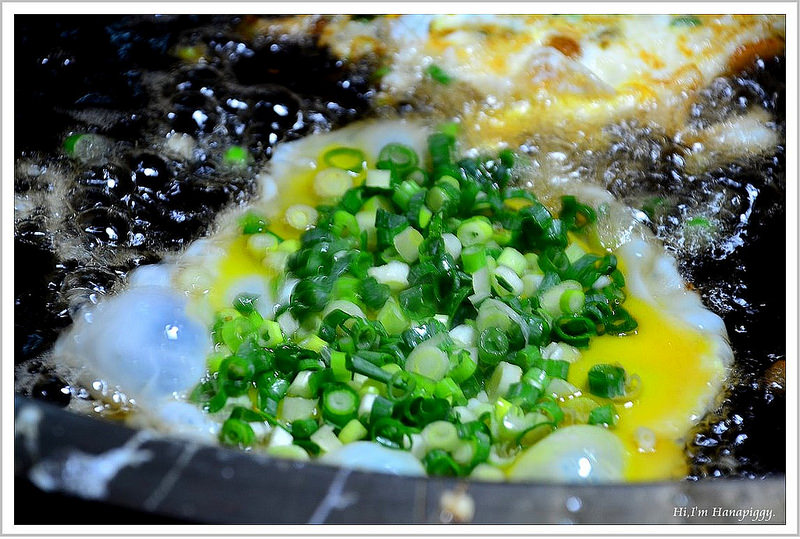 宜蘭香雞城.幾米.舊書櫃.礁溪頂好蔥油餅 (19)