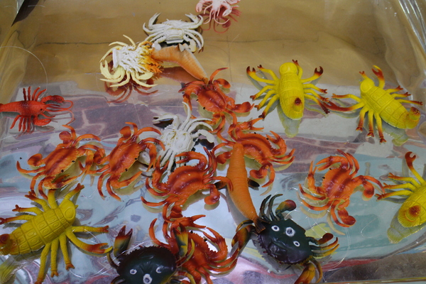 萬里蟹的奇幻旅程展：萬里蟹的奇幻旅程展