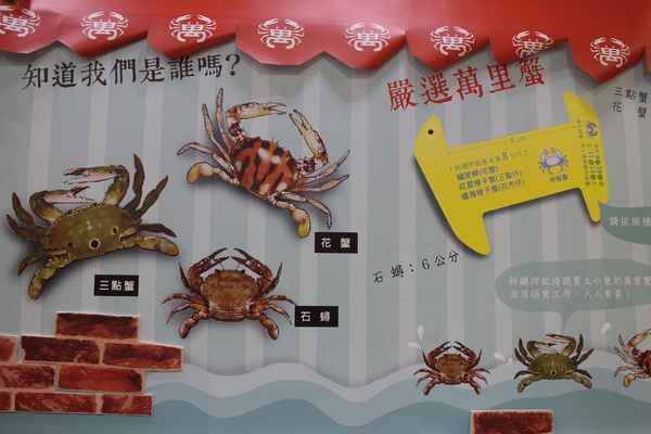 萬里蟹的奇幻旅程展：萬里蟹的奇幻旅程展