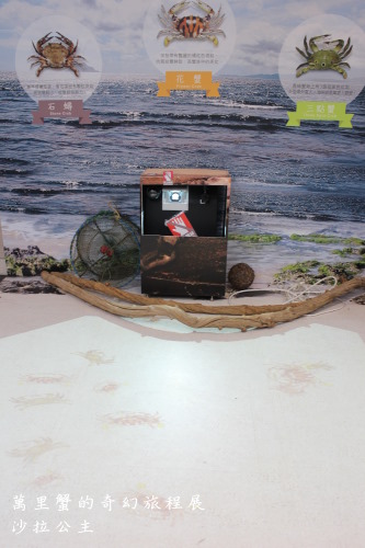 萬里蟹的奇幻旅程展：萬里蟹的奇幻旅程展