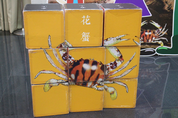 萬里蟹的奇幻旅程展：萬里蟹的奇幻旅程展