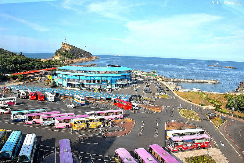 西北萬里蟹 (108)