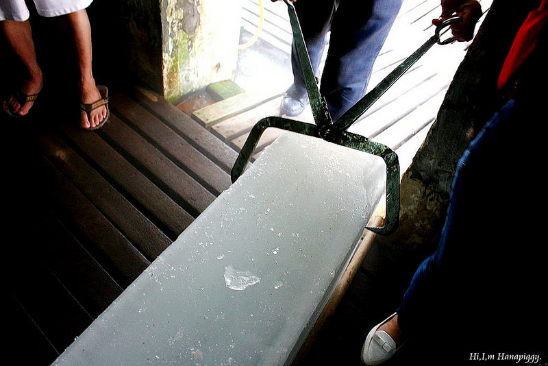 西北萬里蟹 (89)