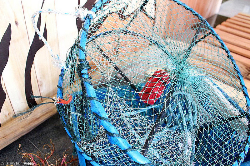 西北萬里蟹 (26)