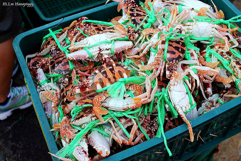 西北萬里蟹 (123)