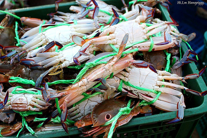 西北萬里蟹 (121)