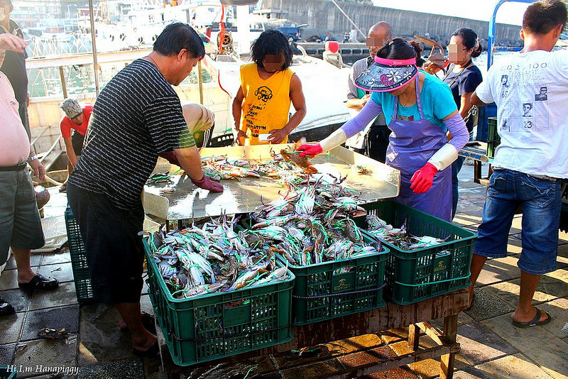 西北萬里蟹 (120)