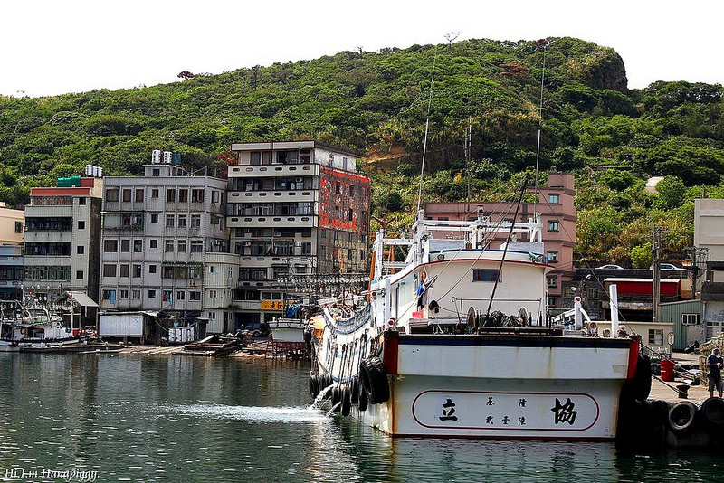 西北萬里蟹 (73)