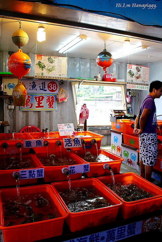 西北萬里蟹 (71)