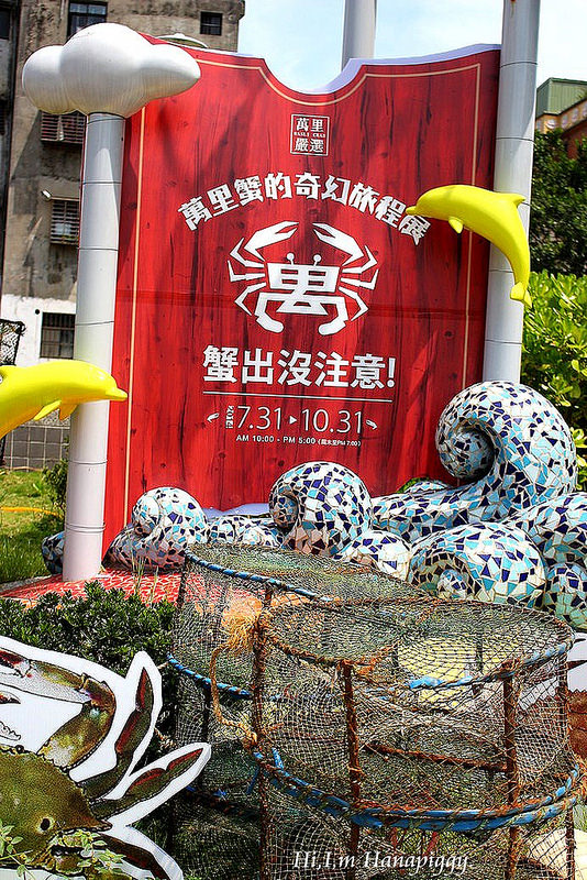 西北萬里蟹 (36)