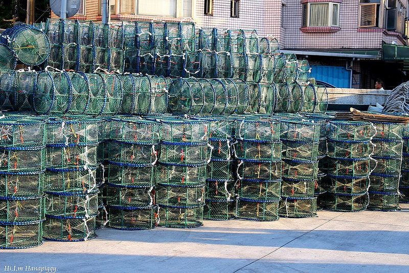 西北萬里蟹 (126)