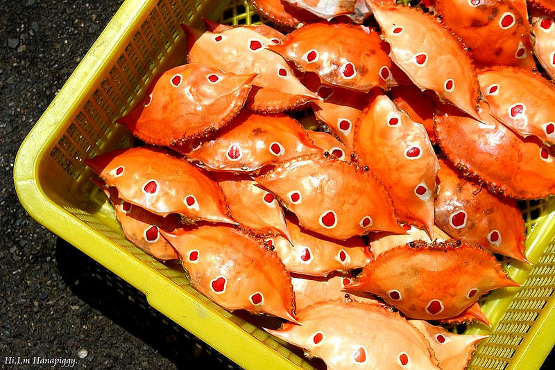 西北萬里蟹 (39)