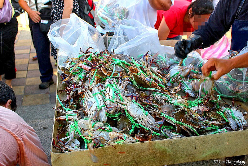 西北萬里蟹 (118)