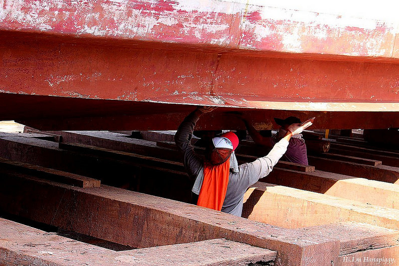 西北萬里蟹 (85)