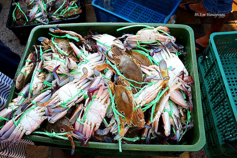 西北萬里蟹 (119)