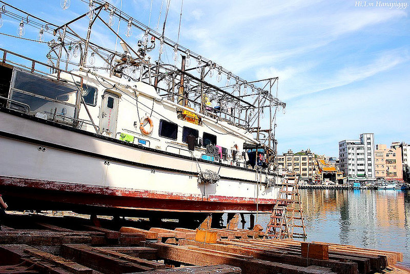 西北萬里蟹 (86)