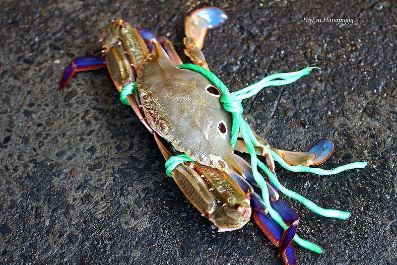 西北萬里蟹 (69)