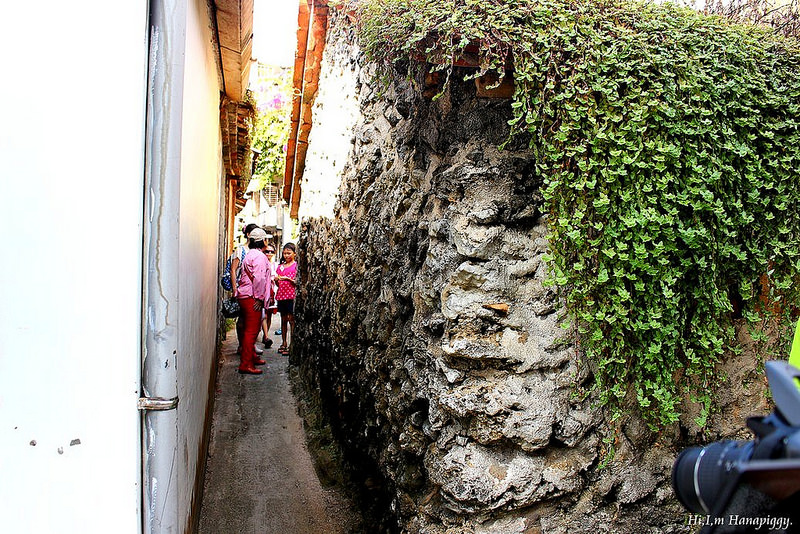 西北萬里蟹 (91)