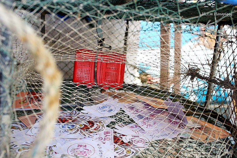 西北萬里蟹 (31)