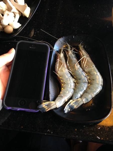 馬辣頂級麻辣鴛鴦火鍋(復興店):馬辣頂級麻辣鴛鴦火鍋(復興店)♥ 吃到飽火鍋 ♥ 哈根達絲16種口味吃到飽