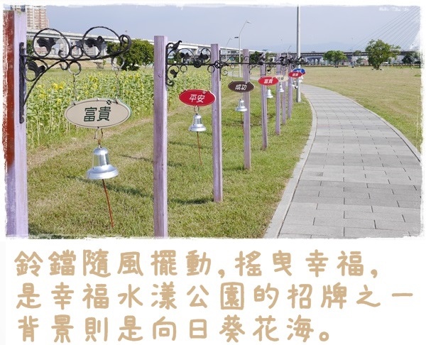 大台北都會公園5