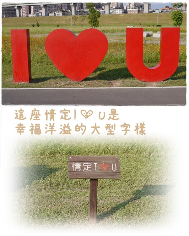 大台北都會公園7