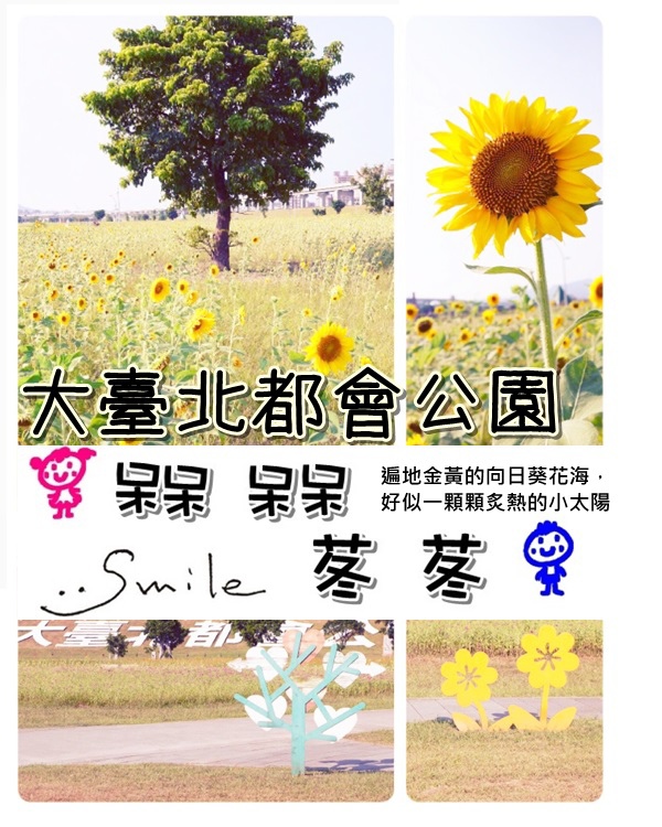 大台北都會公園14