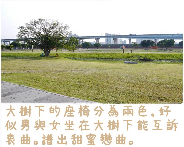 大台北都會公園11
