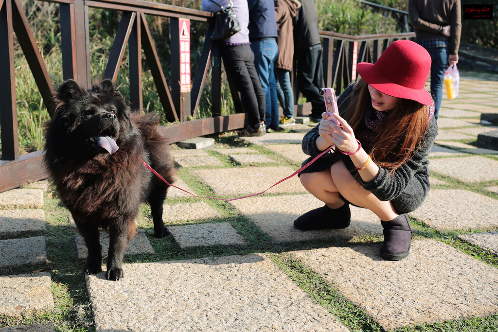 北海岸溜狗半日記趣