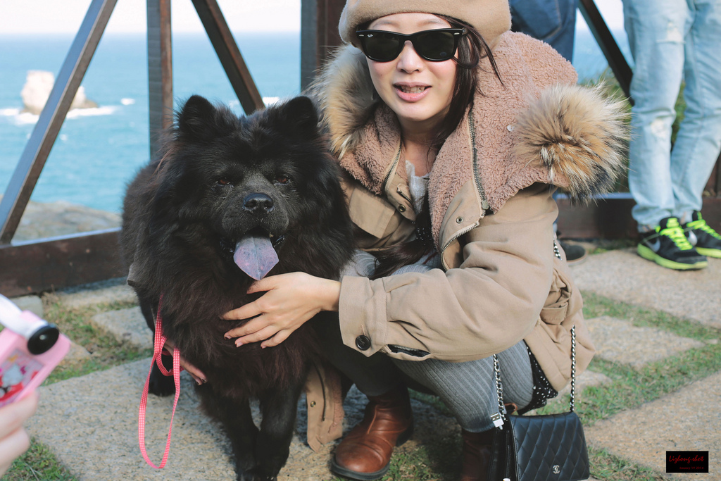 北海岸溜狗半日記趣