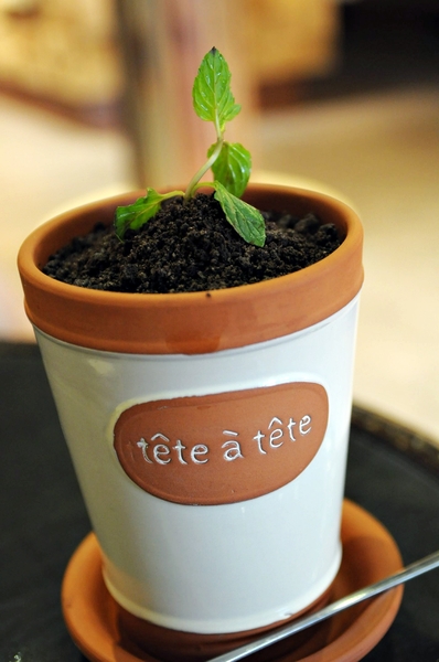 天生澳克(原:天生澳客、岡山分店):【高雄】岡山也來個澳克.天生澳克.桑尼瘦不了