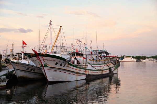 滿億生魚片：【高雄】逛逛興達港．滿億的鮭魚好漂亮．桑尼瘦不了