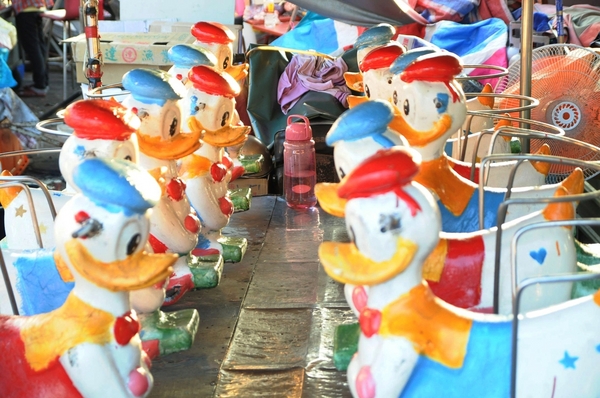 滿億生魚片：【高雄】逛逛興達港．滿億的鮭魚好漂亮．桑尼瘦不了