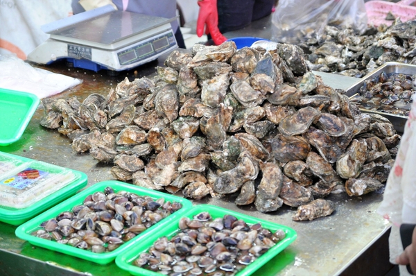 滿億生魚片：【高雄】逛逛興達港．滿億的鮭魚好漂亮．桑尼瘦不了