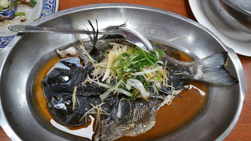 20160417黑白毛_6702 (Copy).jpg