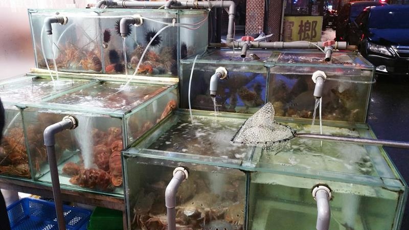 20160417黑白毛_5776 (Copy).jpg