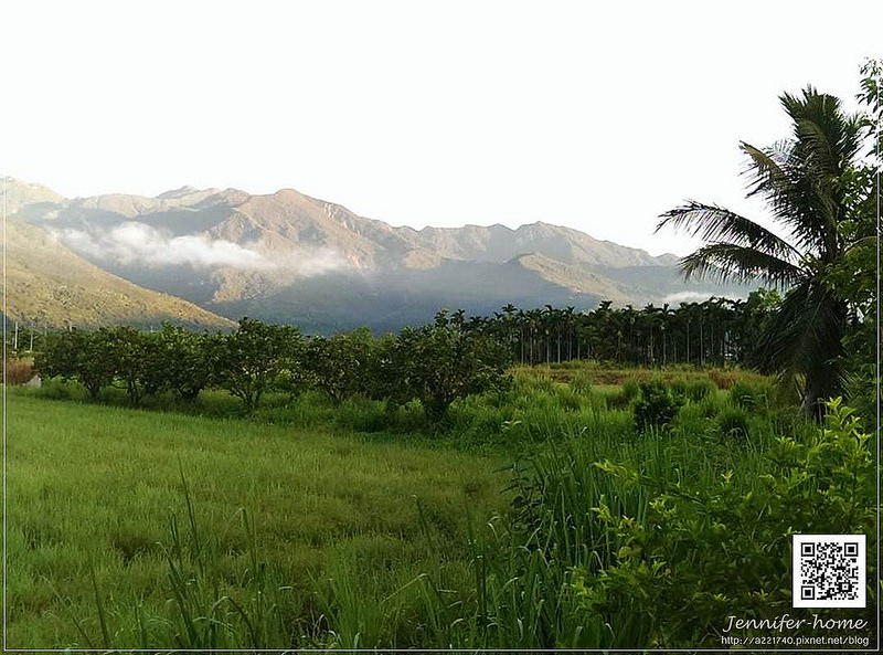 10638066_723011764439122_1884212113_n