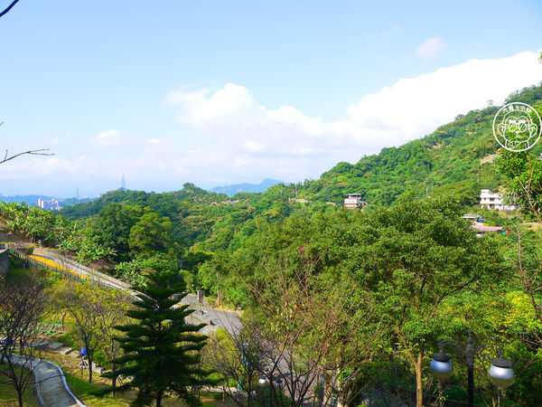 慈音休閒農莊：作伙來企投【台北文山･慈音休閒農莊】賞金針花來忘憂變喜悅