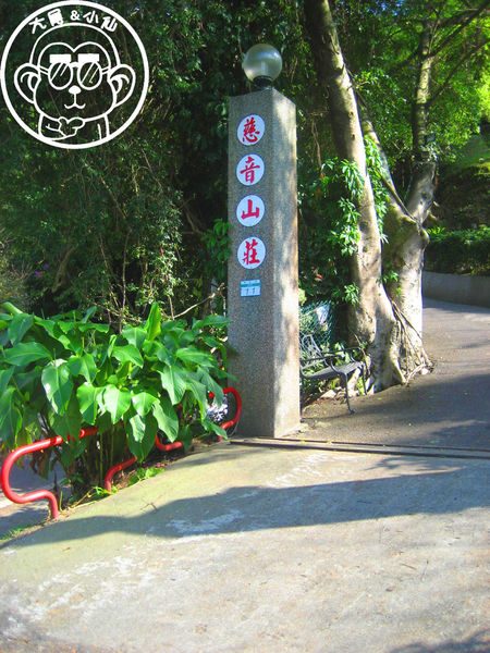 慈音休閒農莊：作伙來企投【台北文山･慈音休閒農莊】賞金針花來忘憂變喜悅