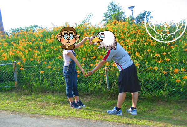 慈音休閒農莊：作伙來企投【台北文山･慈音休閒農莊】賞金針花來忘憂變喜悅